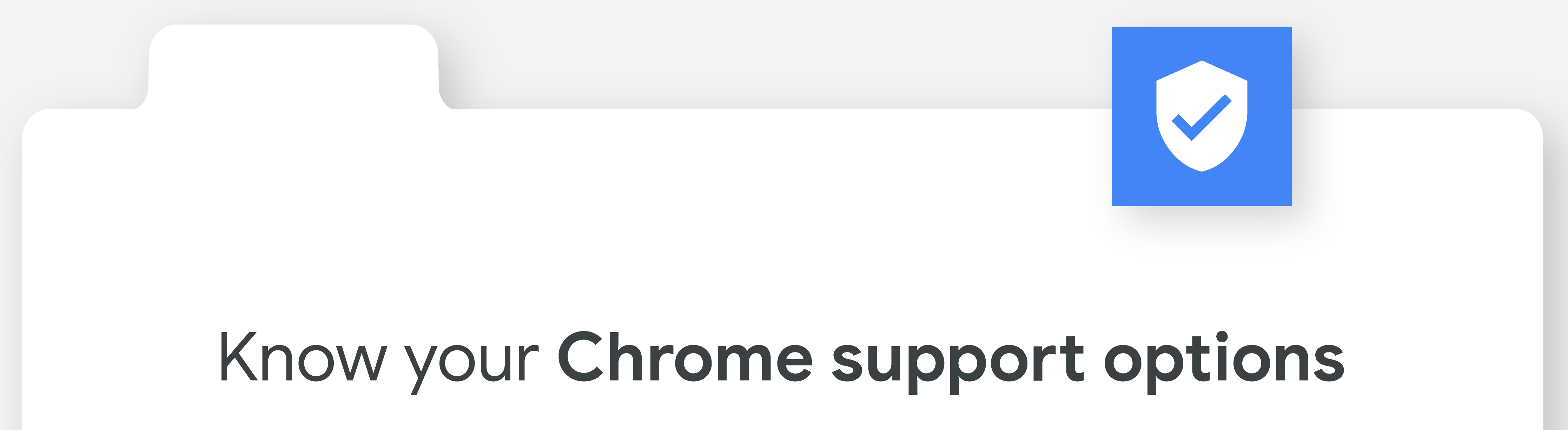 Browser support options